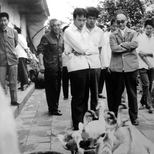 王岐山同志照片集            1982年5月，王岐山（左二）陪同中央農(nóng)研室領(lǐng)導(dǎo)在福建莆田調(diào)研，為起草中央一號(hào)文件做準(zhǔn)備。