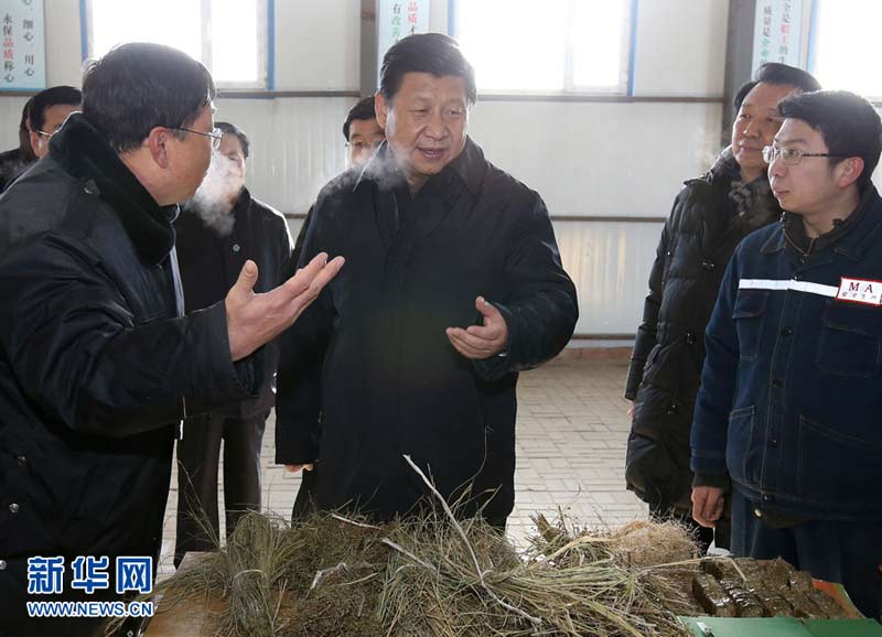 農(nóng)歷馬年春節(jié)即將到來之際，中共中央總書記、國家主席、中央軍委主席習(xí)近平近日來到內(nèi)蒙古，看望慰問各族干部群眾，向全國各族人民致以誠摯的新春祝福。這是1月27日，習(xí)近平在錫林郭勒盟毛登牧場飼草產(chǎn)業(yè)基地牧草顆粒加工車間，了解牧草深加工情況。新華社記者 龐興雷 攝