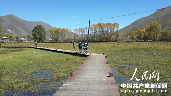 營官新村濕地公園一角。記者 萬世成攝