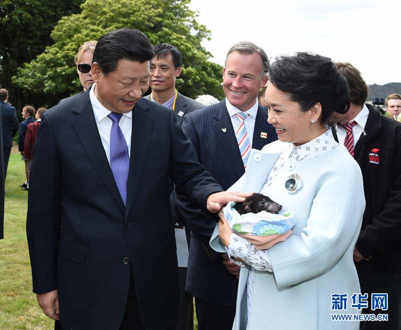 11月18日，國家主席習(xí)近平在澳大利亞塔斯馬尼亞州與朗塞斯頓市斯科奇－歐克伯恩小學(xué)的小學(xué)生共同植樹。這是習(xí)近平和夫人彭麗媛植樹后撫摸袋獾。新華社記者 馬佔(zhàn)成 攝