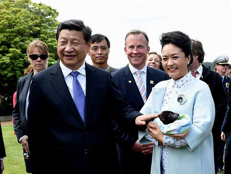 2014年11月18日，國(guó)家主席習(xí)近平在澳大利亞塔斯馬尼亞州與朗塞斯頓市斯科奇－歐克伯恩小學(xué)的小學(xué)生共同植樹。這是習(xí)近平和夫人彭麗媛植樹后撫摸袋獾。饒愛(ài)民 攝