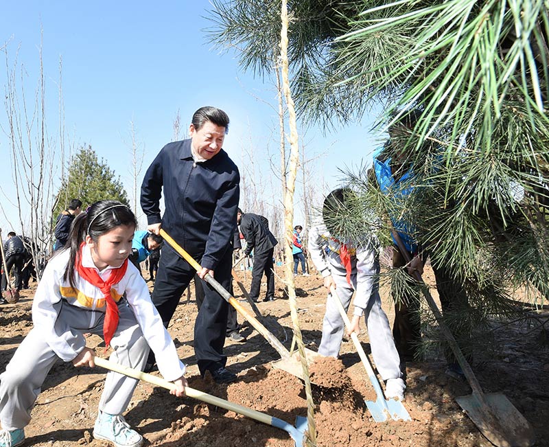 這是習(xí)近平同大家一起植樹。新華社記者 張鐸 攝