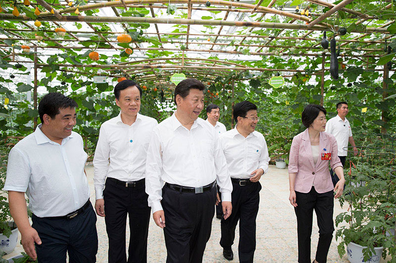 這是16日下午，習(xí)近平在遵義縣楓香鎮(zhèn)花茂村視察現(xiàn)代高效農(nóng)業(yè)智能溫控大棚。新華社記者 黃敬文 攝