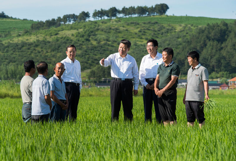這是7月16日，習(xí)近平在延邊州和龍市東城鎮(zhèn)光東村稻田同村民和農(nóng)技人員交流。新華社記者 謝環(huán)馳 攝