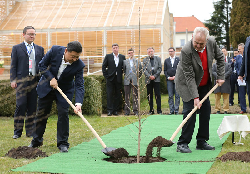 當(dāng)?shù)貢r(shí)間3月28日，國(guó)家主席習(xí)近平在布拉格拉尼莊園同捷克總統(tǒng)澤曼舉行會(huì)晤。會(huì)晤前，兩國(guó)元首在莊園裡種下一株來自中國(guó)的銀杏樹苗。新華社記者 蘭紅光 攝