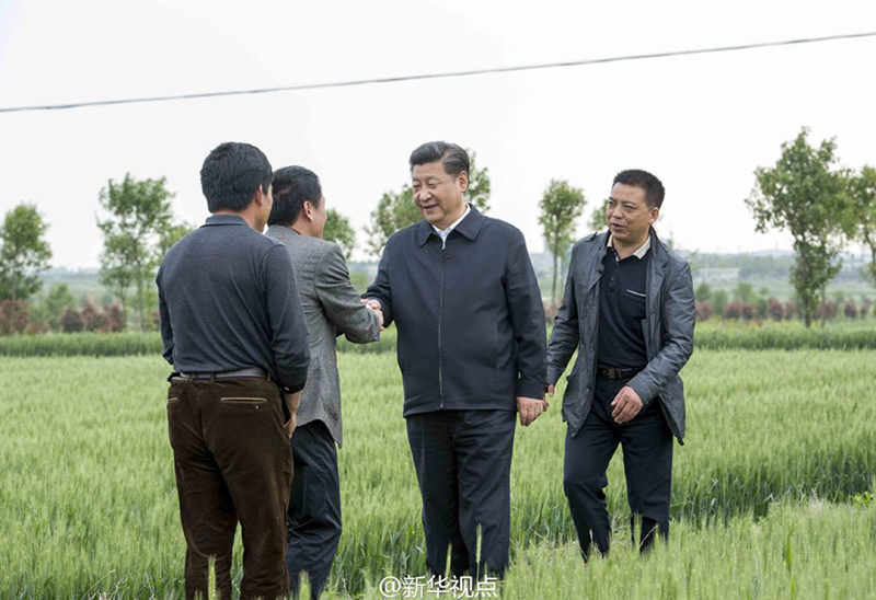 25日下午，習(xí)近平來(lái)到小崗村4300畝高標(biāo)準(zhǔn)農(nóng)田示范點(diǎn)，沿著田埂走進(jìn)麥田，察看小麥長(zhǎng)勢(shì)，向村干部、種糧大戶和農(nóng)技人員了解土地流轉(zhuǎn)、農(nóng)田整理、種植品種、畝產(chǎn)量、病蟲害防治、糧食收購(gòu)等情況。