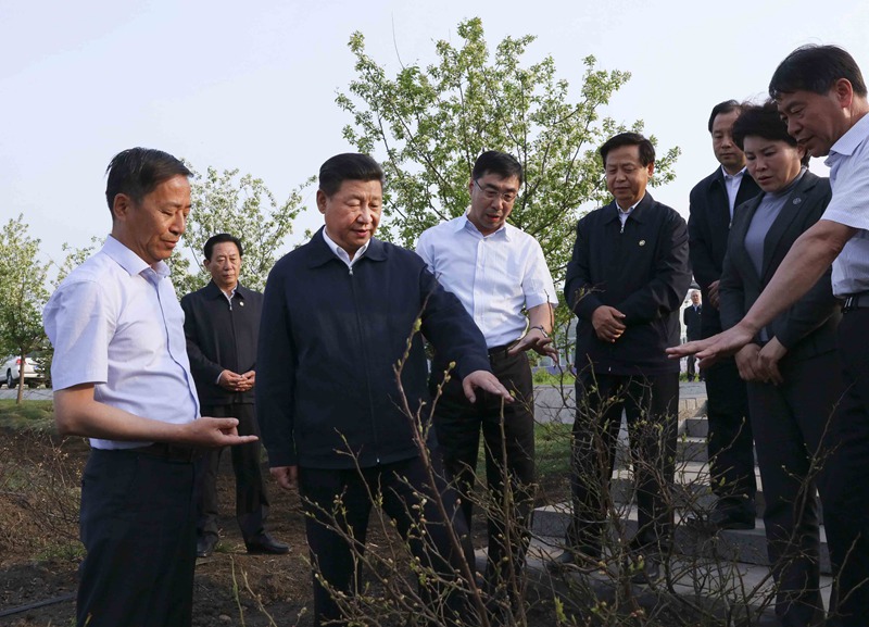5月23日至25日，中共中央總書記、國家主席、中央軍委主席習(xí)近平在黑龍江考察調(diào)研。這是5月23日下午，習(xí)近平在伊春友好林業(yè)局萬畝藍(lán)莓產(chǎn)業(yè)園察看藍(lán)莓種植情況。 新華社記者 蘭紅光 攝