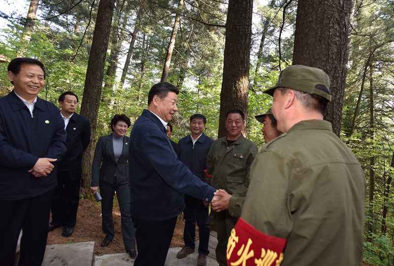 5月23日至25日，中共中央總書記、國家主席、中央軍委主席習(xí)近平在黑龍江考察調(diào)研。這是5月23日下午，習(xí)近平在上甘嶺林業(yè)局溪水國家森林公園視察時，叮囑林場工作人員一定要把森林資源保護(hù)好。 新華社記者 李濤 攝