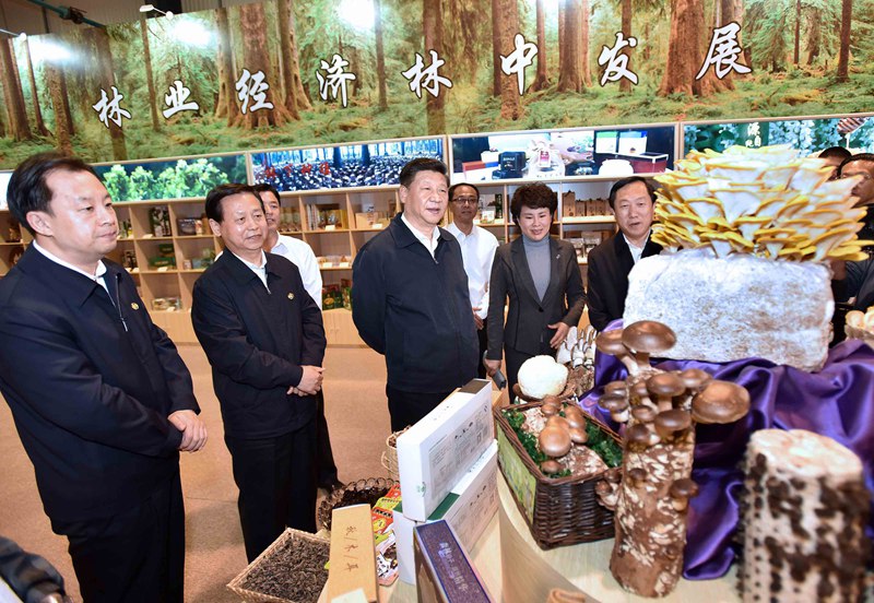 5月23日至25日，中共中央總書記、國家主席、中央軍委主席習(xí)近平在黑龍江考察調(diào)研。這是5月23日上午，習(xí)近平在伊春市生態(tài)經(jīng)濟(jì)開發(fā)區(qū)規(guī)劃展示廳觀看生態(tài)產(chǎn)品展示，了解林區(qū)全面停伐后產(chǎn)業(yè)接續(xù)發(fā)展情況。 新華社記者 李濤 攝