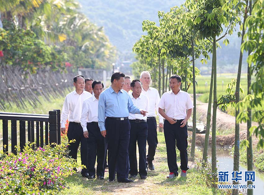 4月12日下午，中共中央總書記、國家主席、中央軍委主席習近平在海南省三亞市考察。這是習近平在國家南繁科研育種基地（海南）同袁隆平等農(nóng)業(yè)技術專家一道，沿著田埂走進“超優(yōu)千號”超級雜交水稻展示田，察看水稻長勢，了解超級雜交稻的產(chǎn)量、口感和推廣情況。新華社記者 謝環(huán)馳 攝