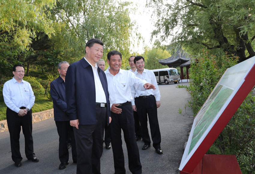 6月12日至14日，中共中央總書記、國家主席、中央軍委主席習(xí)近平在山東考察。這是12日下午，習(xí)近平在威?？疾烊A夏集團(tuán)生態(tài)修復(fù)項(xiàng)目。新華社記者 謝環(huán)馳 攝