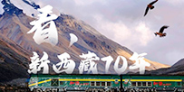 70http://flv4mp4.people.com.cn/videofile7/pvmsvideo/2021/5/24/rmsp-pengjingyi_b8ad042e3c02f9e7f562d80c830ccddf_android_c.mp4