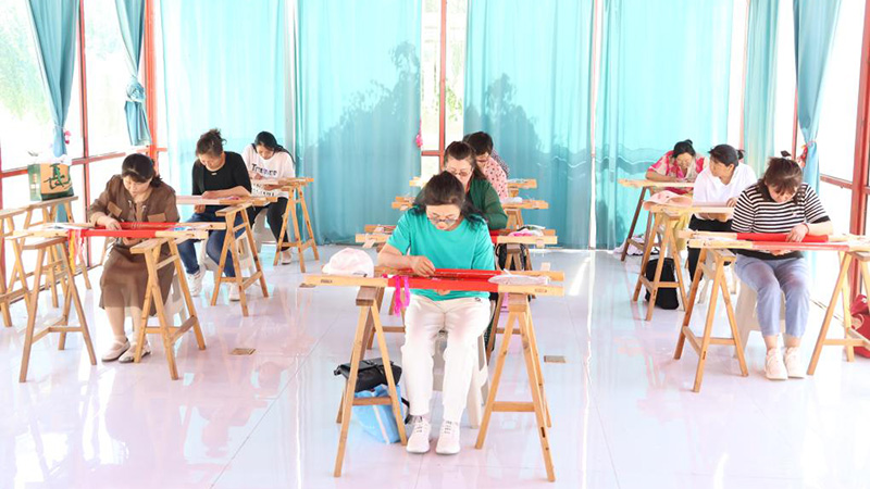 草原上，團結之花在針尖綻放