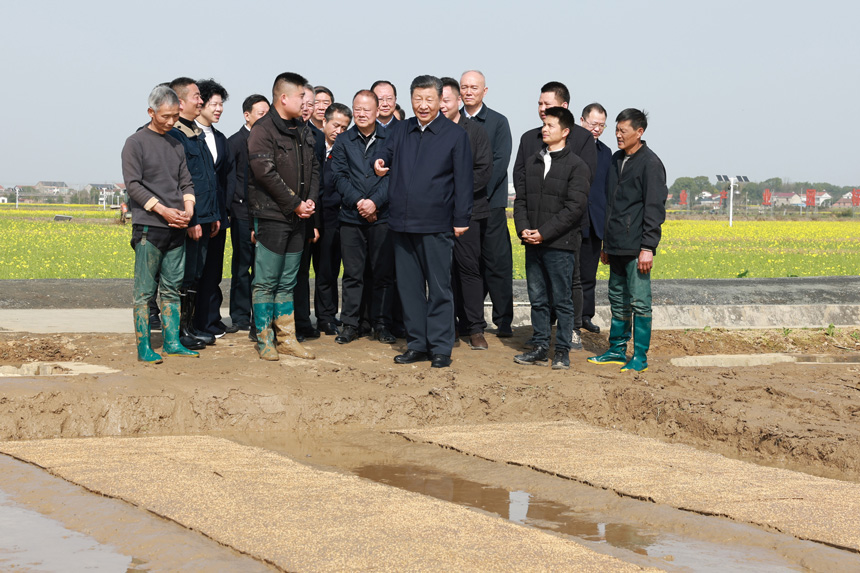2024年3月18日至21日，中共中央總書(shū)記、國(guó)家主席、中央軍委主席習(xí)近平在湖南考察。這是19日下午，習(xí)近平在常德市鼎城區(qū)謝家鋪鎮(zhèn)港中坪村走進(jìn)田間，察看秧苗培育和春耕備耕進(jìn)展。新華社記者 王曄 攝
