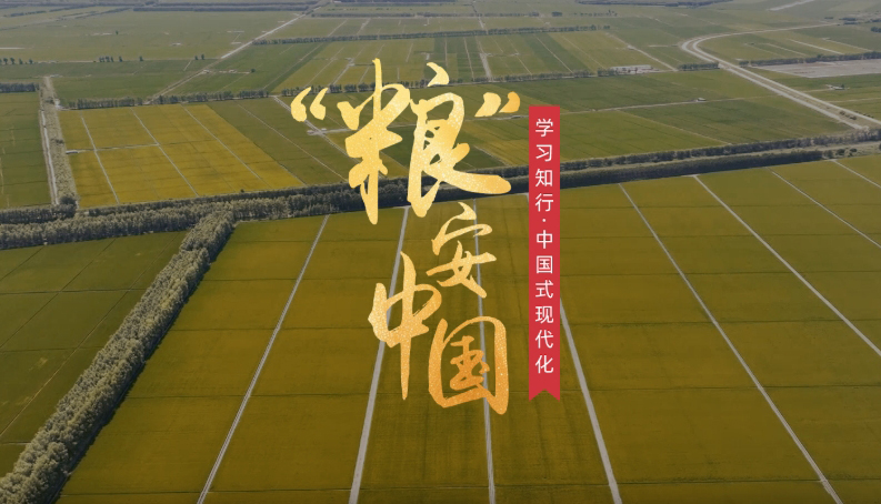 “糧”安中國(guó)糧食安全是“國(guó)之大者”，“持續(xù)增強(qiáng)糧食等重要農(nóng)產(chǎn)品供給保障能力”，是今年中央一號(hào)文件部署的重點(diǎn)任務(wù)。新裝備新模式新技術(shù)正革新傳統(tǒng)農(nóng)業(yè)，為現(xiàn)代化大農(nóng)業(yè)注入全新活力。