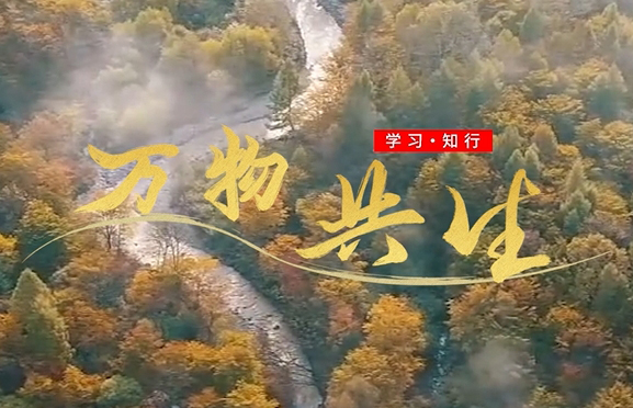 微視頻：萬(wàn)物共生