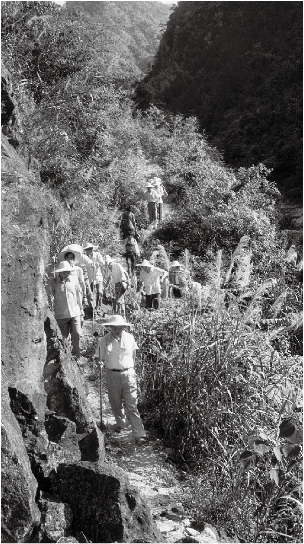 學(xué)習(xí)·故事丨這份敬老情 習(xí)近平發(fā)乎于心、踐之于行