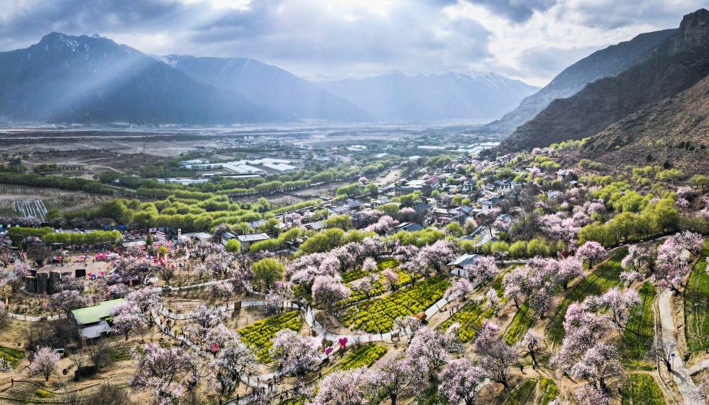 學(xué)習(xí)·知行丨總書記牽掛的“桃花源”開出“致富花”嘎拉村如今的好日子，正是西藏自治區(qū)成立60周年來經(jīng)濟(jì)社會發(fā)展成就的一個生動縮影?！翱粗倍沸亲卟幻月罚伯a(chǎn)黨走會幸福。”這是嘎拉村村民們的心聲，也是新時代西藏這片雪域高原的發(fā)展密碼。