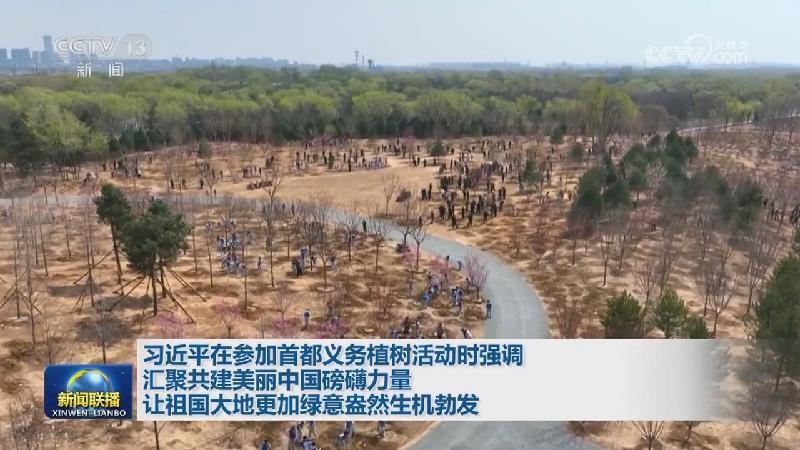 習(xí)近平在參加首都義務(wù)植樹活動時強(qiáng)調(diào) 匯聚共建美麗中國磅礴力量 讓祖國大地更加綠意盎然生機(jī)勃發(fā)